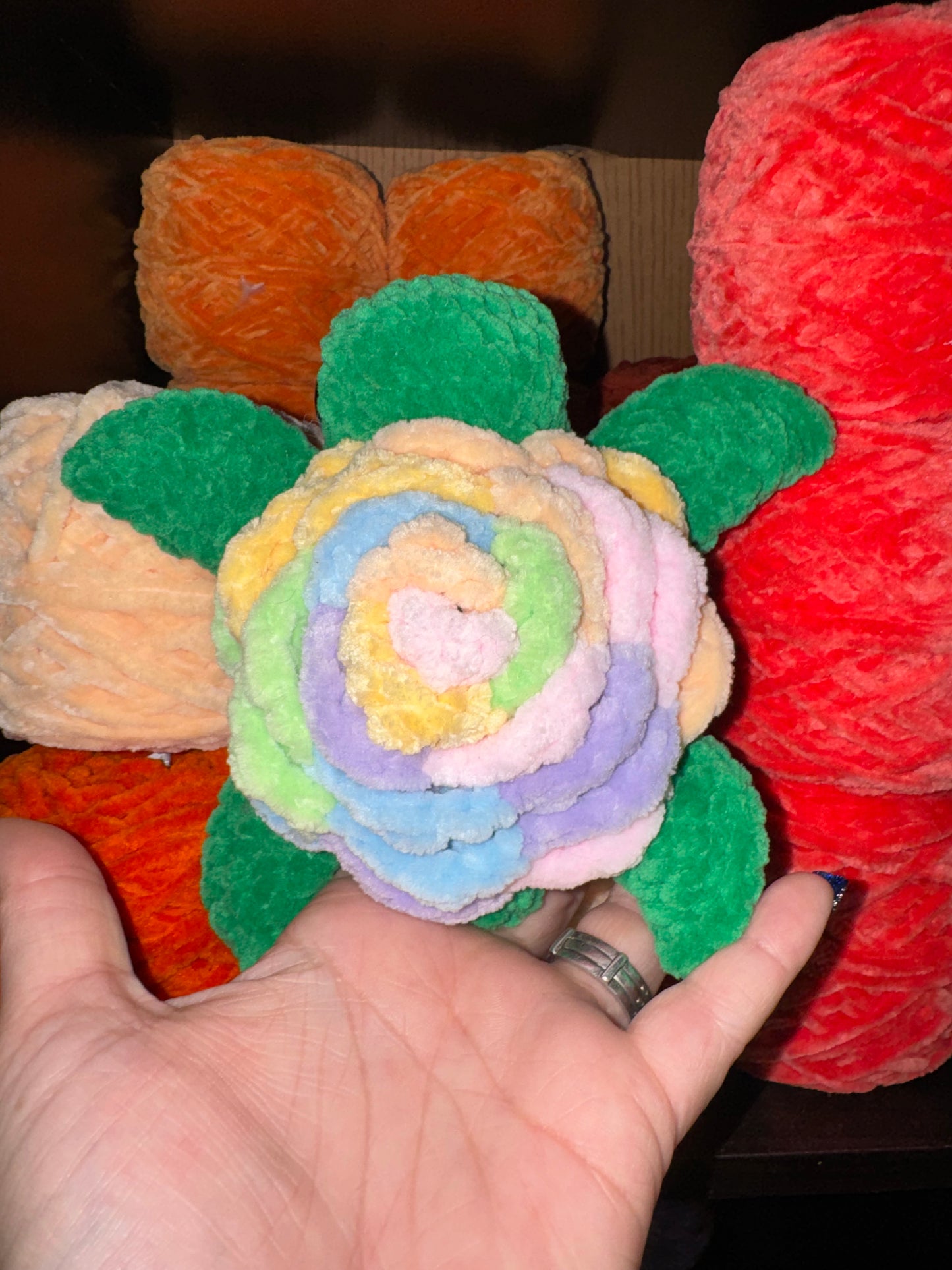 Rainbow turtle
