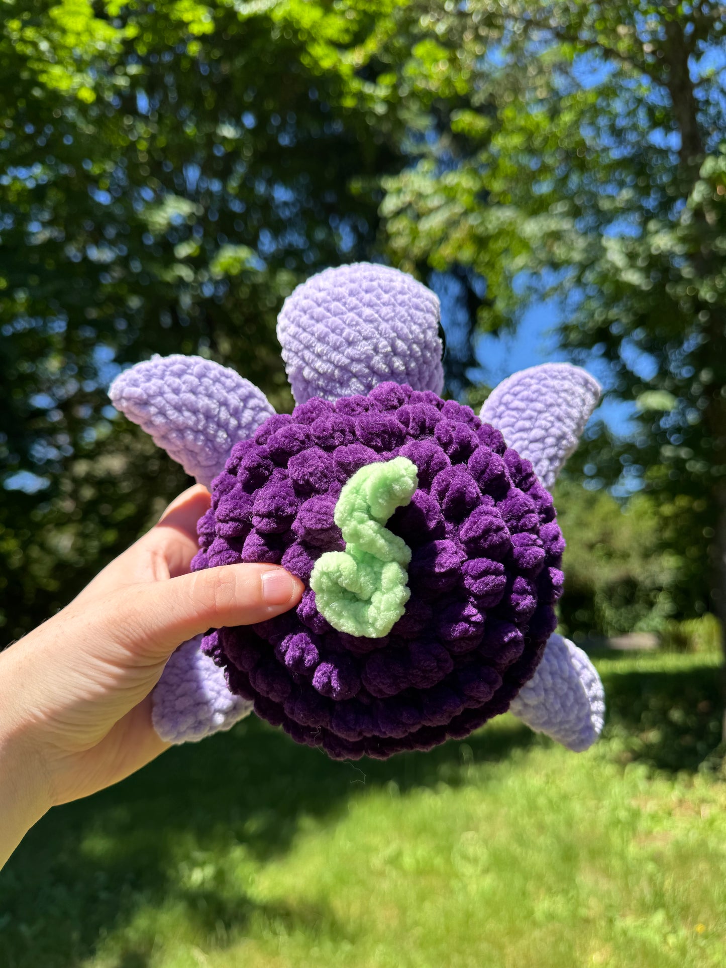 Fruit turtles