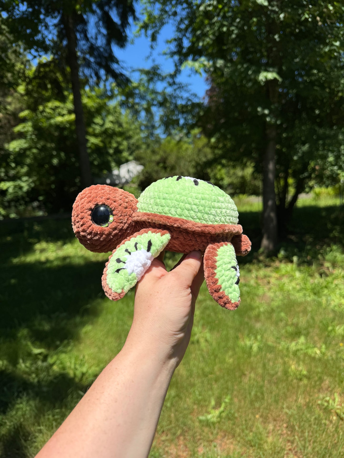 Fruit turtles
