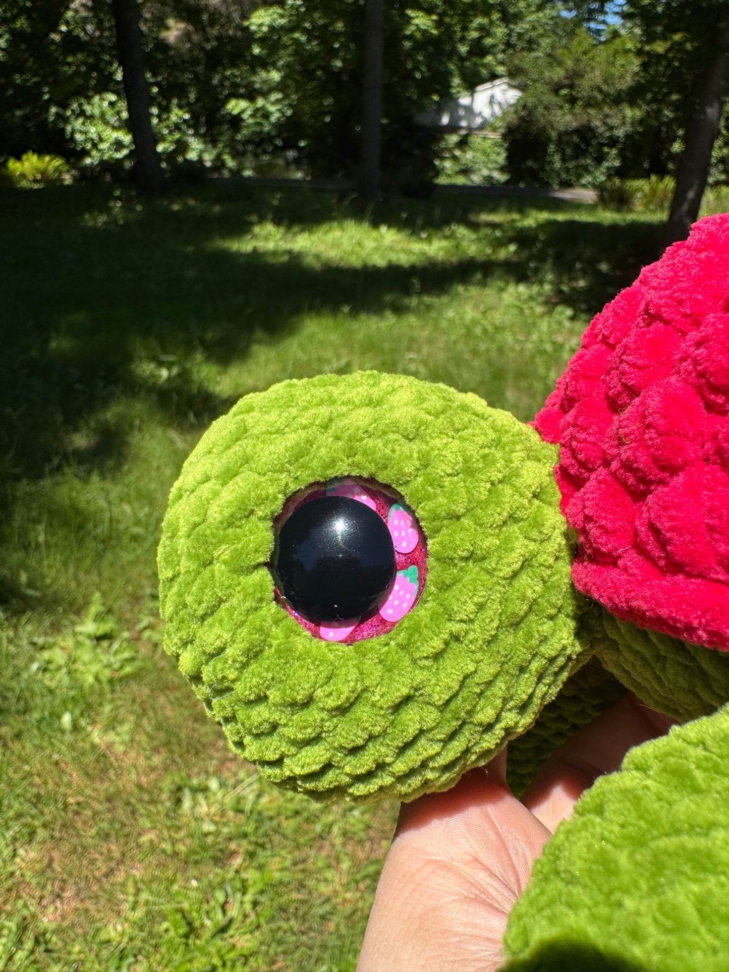 Fruit turtles
