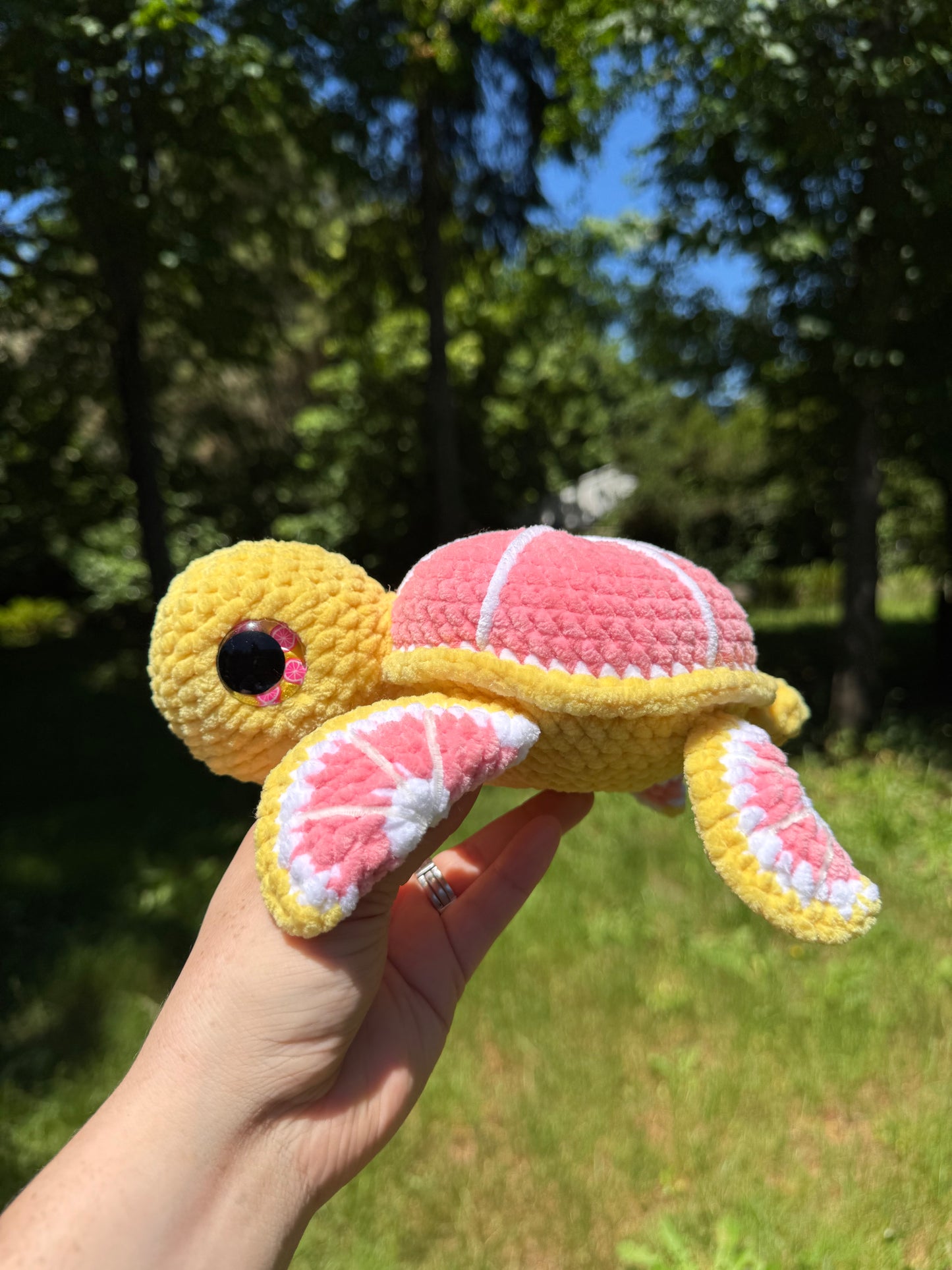 Fruit turtles
