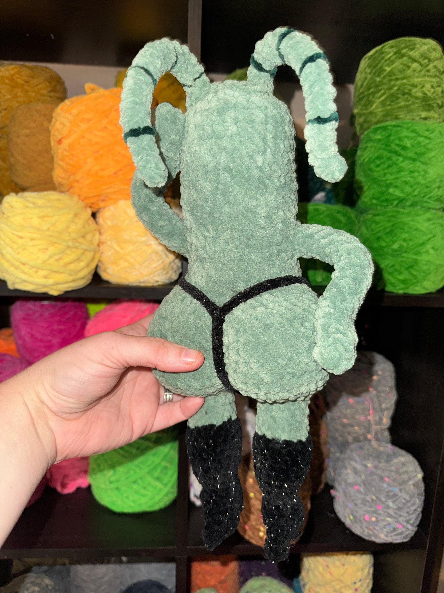 Sexy sea pickle