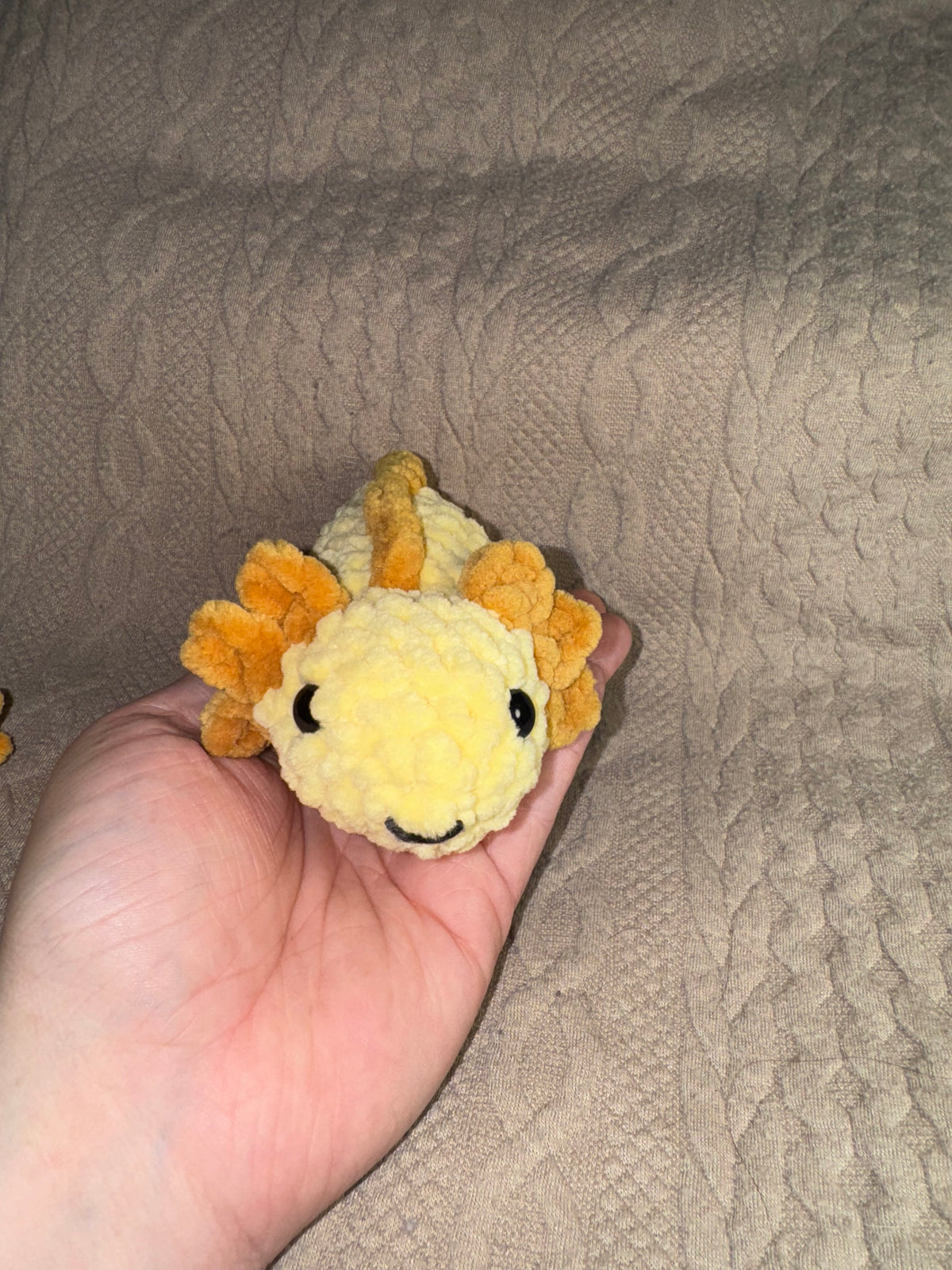Baby axolotl