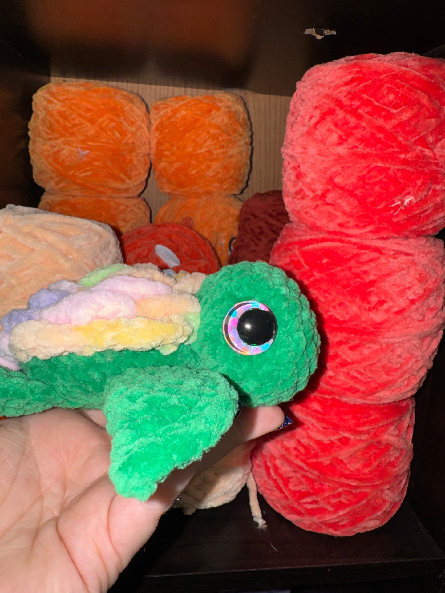 Rainbow turtle