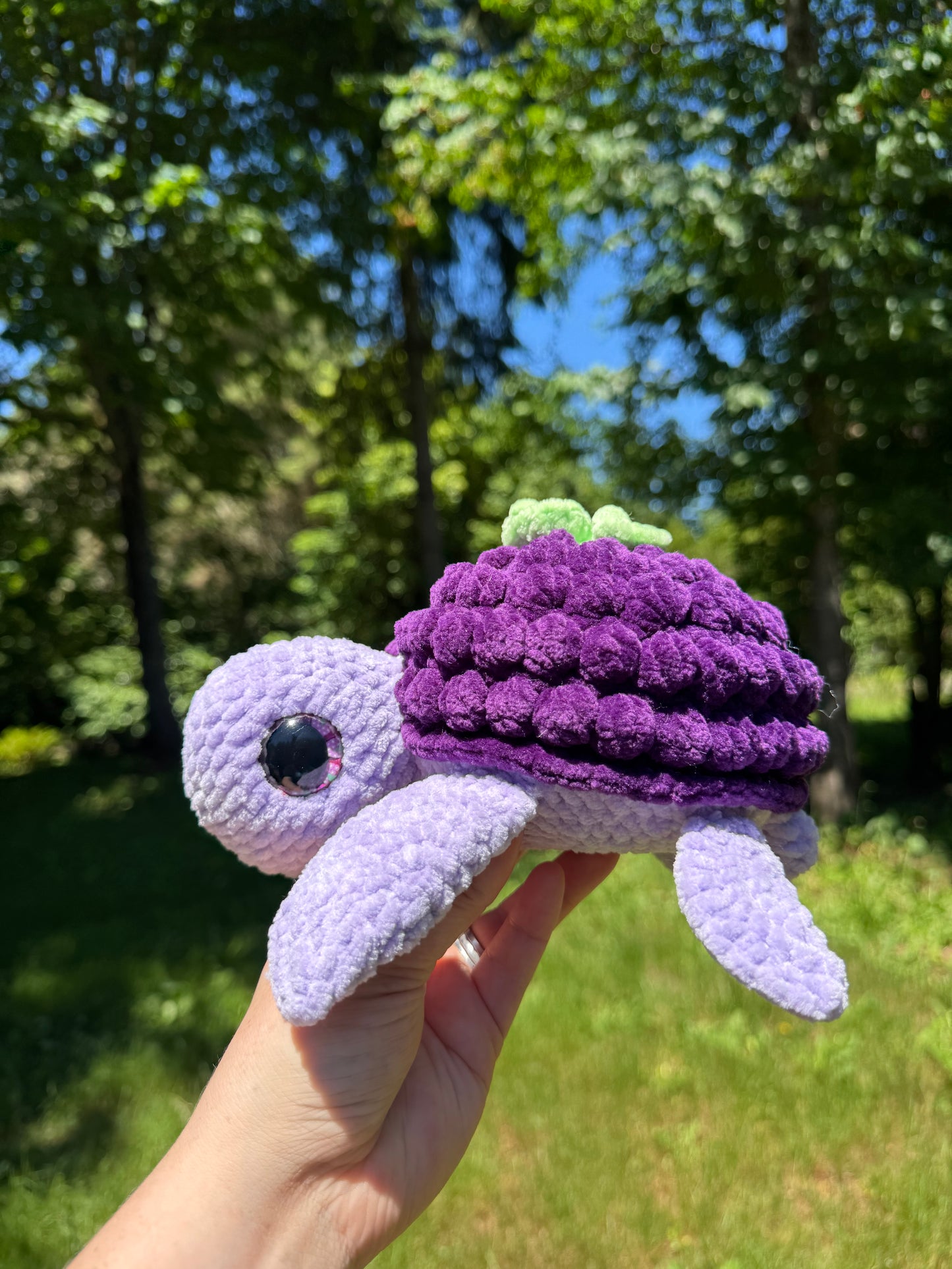 Fruit turtles