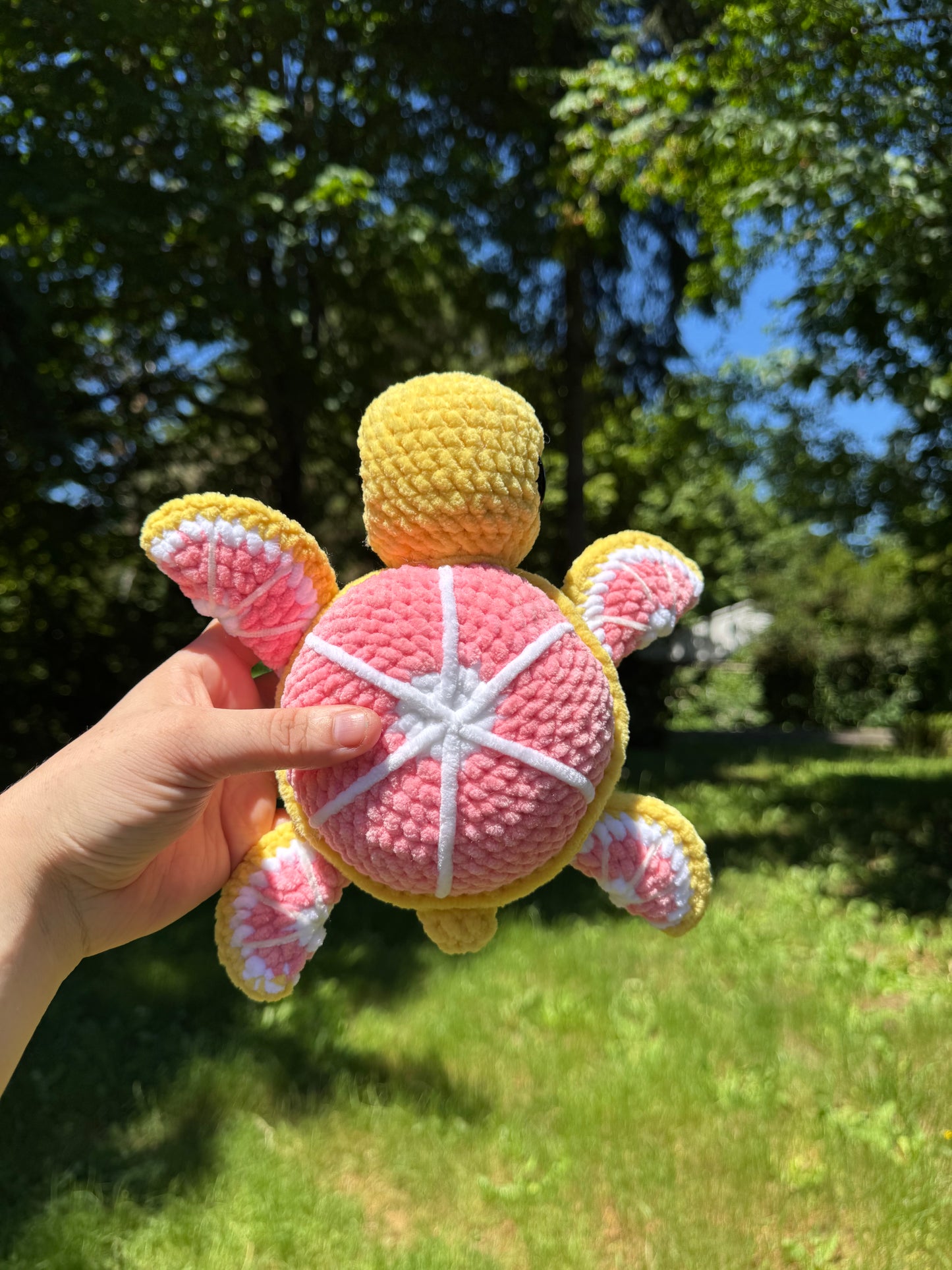 Fruit turtles