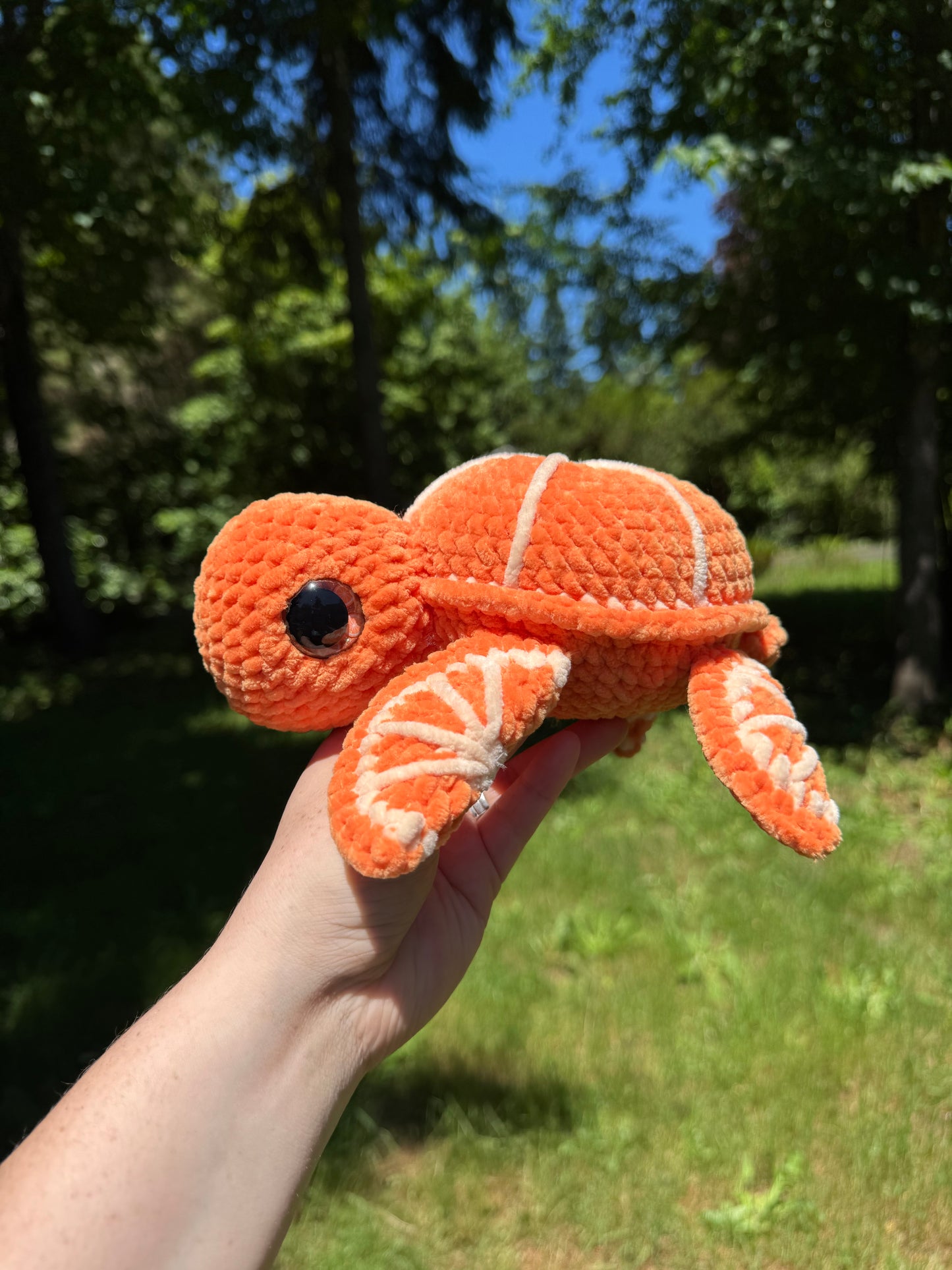 Fruit turtles