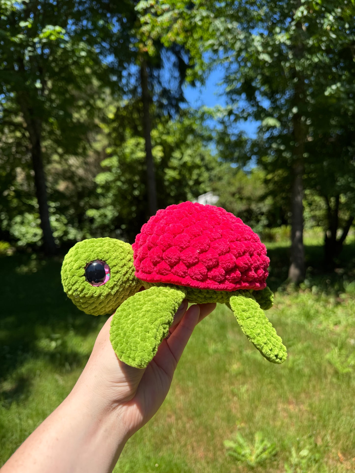 Fruit turtles