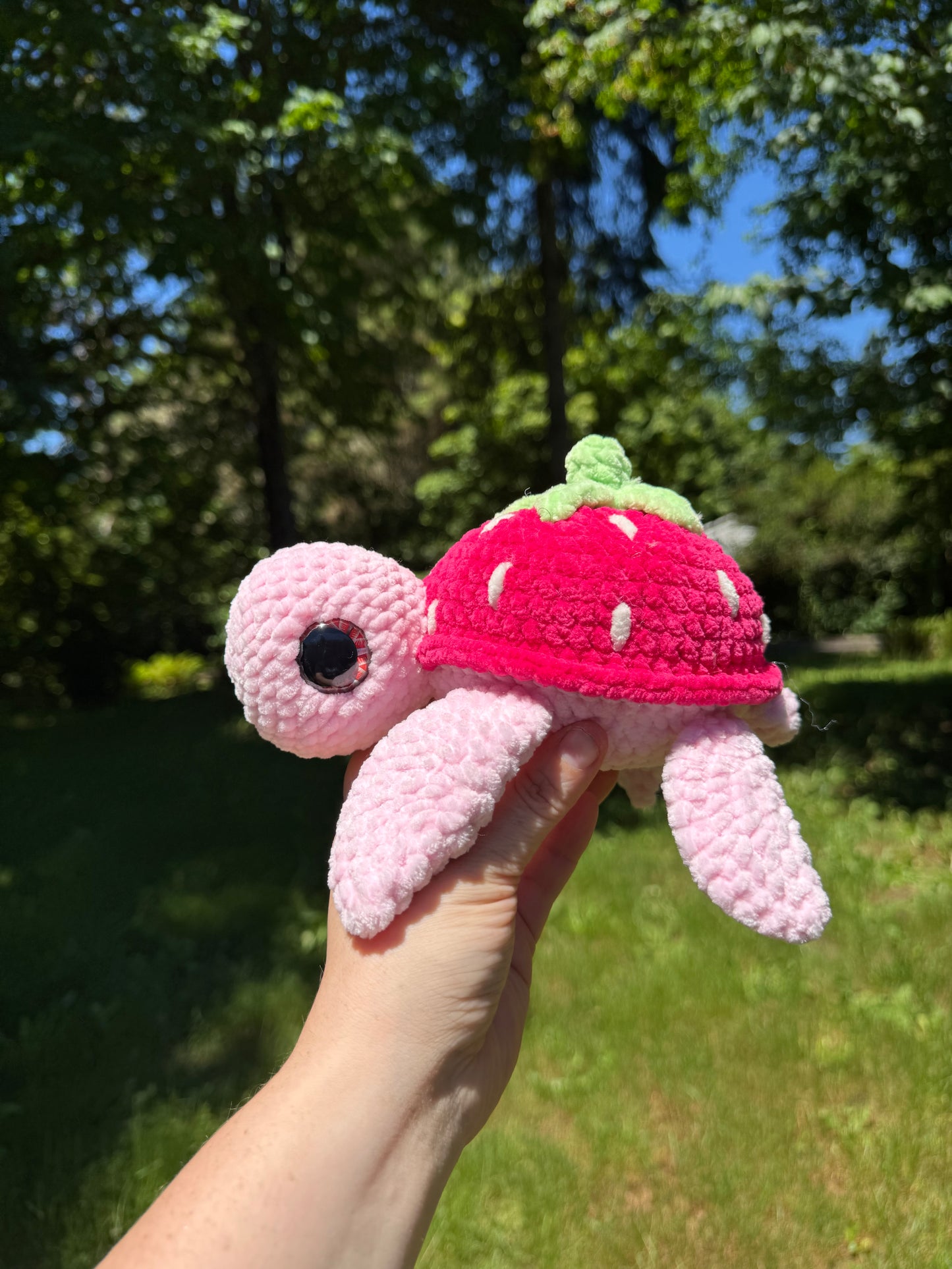 Fruit turtles