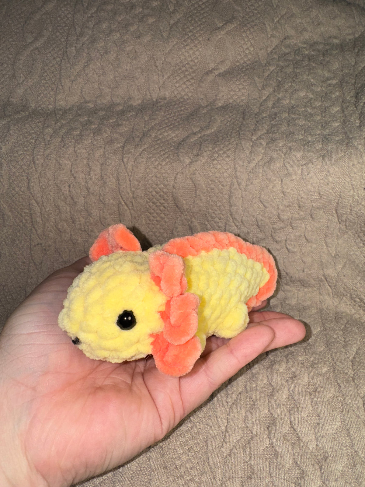 Baby axolotl