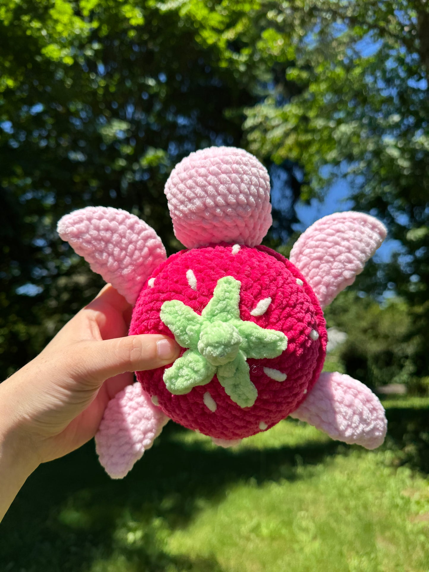 Fruit turtles
